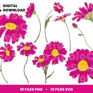 10 Clipart - Fuchsia Daisy