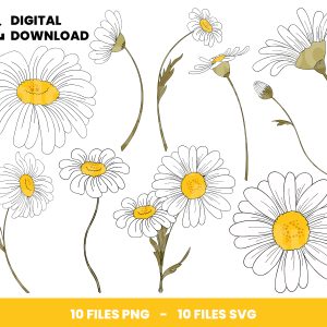 10 Clipart - White Daisy