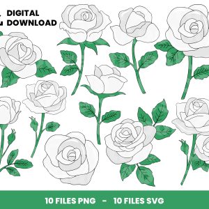 10 Clipart - White Roses